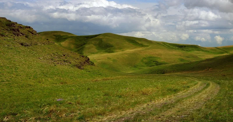 Les différences selon les types d'espaces verts et les usages