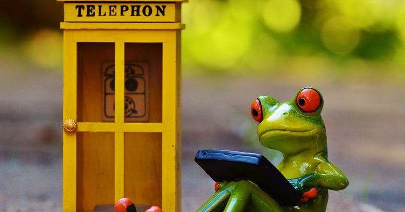 Créer un jardin thérapeutique pour réduire le stress : nos conseils apaisants